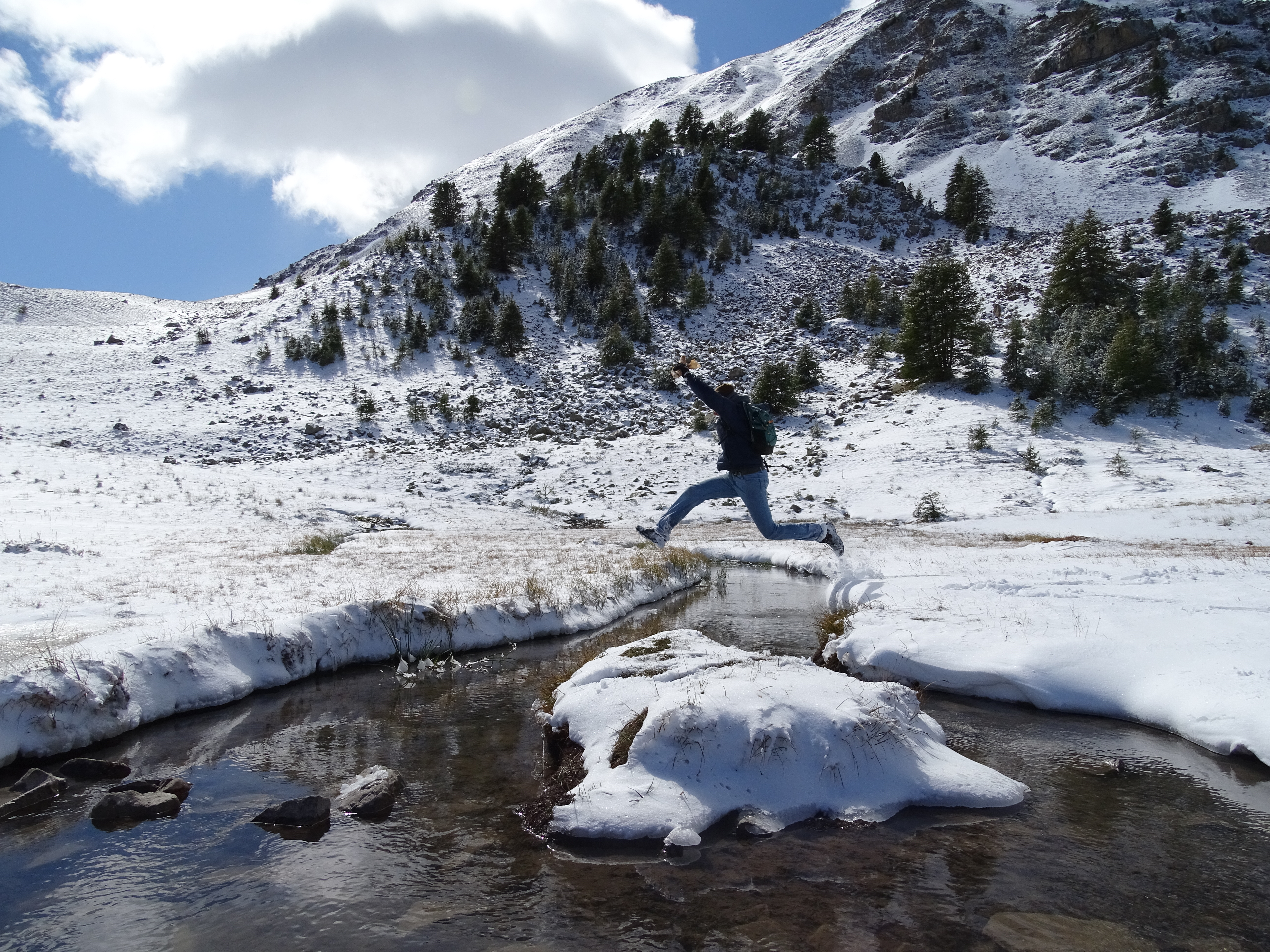 Paysage de montagne hivernale